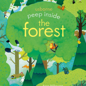 Usborne Peep Inside the Forest